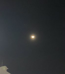 月食見れました！